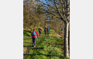 Montée vers Le Buguet-Haut.