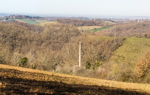 Côteaux au dessus de la plaine du Tarn.