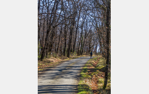 Fin de la montée en direction du lieu-dit Bel Air 