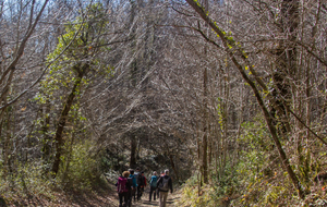 Descente en bordure du Bois de La Capelle.