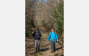 Descente dans le Bois de La Brunié.