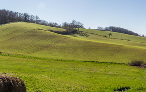 Passage au milieu de champs de cultures céréalières avec leur vert tendre printanier.
