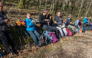 Pause repas dans le bois En Rel. 