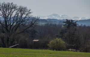 Plaine de Vialas  (nouvelle vue sur les Pyrénées)