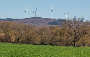 "Arbres industriels" sans feuilles !!