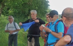 Distribution des fanions