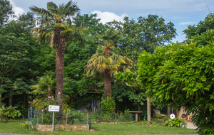 Chemin des Toulzas : un petit d'air d'oasis!