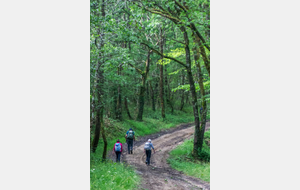 Amorce de la montée sur Montjoire, passés Les Condoms