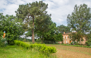 Vue vers Les Condoms