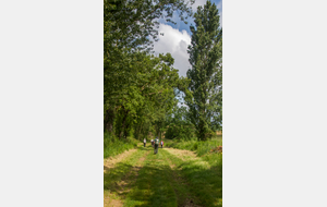 Le long du ruisseau de Cun 