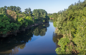 L'Agout (important affluent gauche du Tarn)