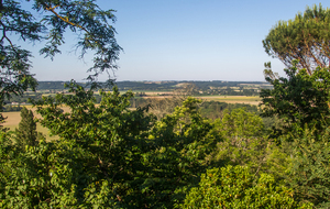   Plaine du Dadou vue de Giroussens 