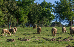  Sur la route des crêtes 