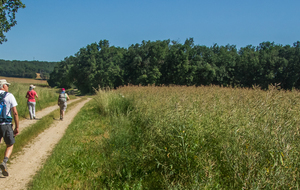  Début de la montée vers la Bousquetié 