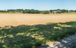 Montée vers la Bousquetié: Prat Natou