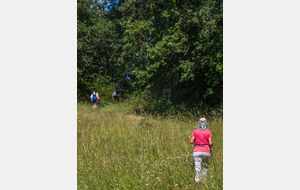 Fin de la montée vers les Galiniers 