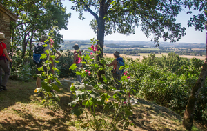  Vue de la Chapelle de St Pierre du Puy 