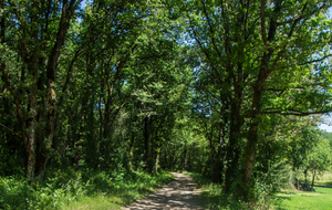 Sortie  de la forêt après passage du ruisseau de Fontgrave  