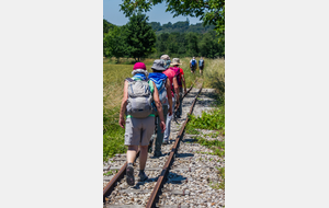 Le petit "train-train"