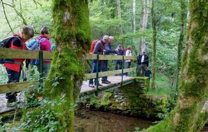 pont sur le ruisseau du Ravasset