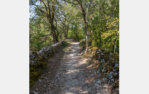 Fraction du chemin de St Jacques de Compostelle dans le Causse de Limogne