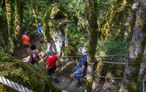 Descente dans les canyons