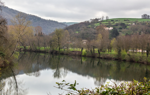 Les bords du Tarn en amont 