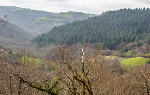 Vue sur la vallée du Tarn en amont d'Ambialet avec le hameau de La Bourié en contrebas