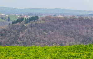 Vue en direction d'Ambialet à partir du chemin de La Canague