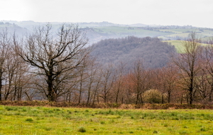 Vue en direction opposée de la précédente (vue à 360° des paysages tarnais).