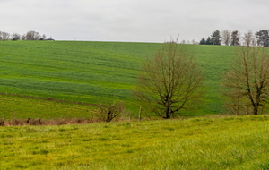 Vue sur Ambels et la D74