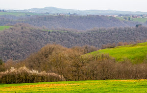 Vue sur la vallée aval du Tarn depuis Les Cabannes