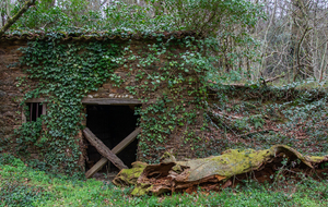 Montée vers Oubièges-bas