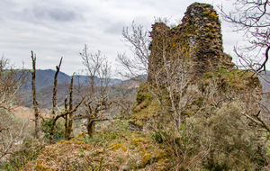 Ruines du château St Raphaël