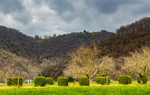 Dans la presqu'ile par la route du Prieuré au bord du Tarn 