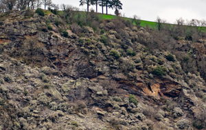 Colline de l'autre côté du Tarn (amont)