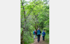 Longue montée sur le plateau du Puech Ayrol
