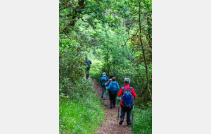 Poursuite de la montée