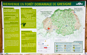 Entrée dans la forêt de La Grésigne 