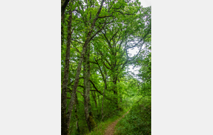 Chemin de la chapelle
