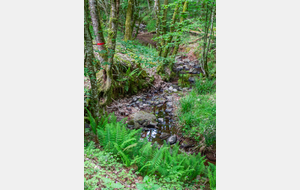 Ruisseau de Beudes
