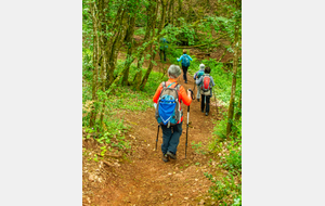 Route forestière des Beudes