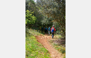 Gazels (Puech Escudié)