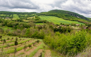  La vallée de la Vère entre Larroque et Puycelsi