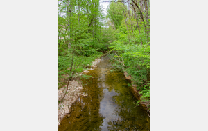 La Vère au Pont Bourguet