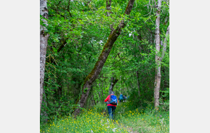 Prat Barrat , départ de la raide remontée sur Puycelsi 
