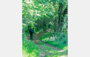 Poursuite de la montée vers Aron