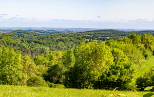 Panorama ouest  avec vue au loin sur la plaine de la Garonne.