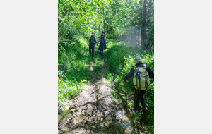 Descente en chemin boueux
