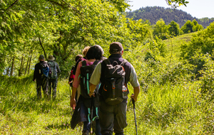 En approche du Lac de Mondely (à gauche sous les arbres)